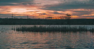 Corpo de jovem de 19 anos é encontrado boiando em represa de Nova Venécia