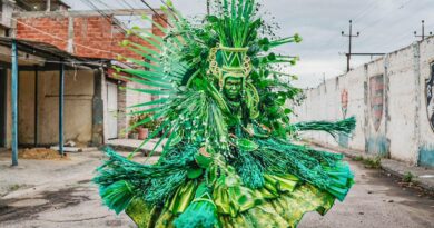 Escolas da Série Ouro do Rio terão competição acirrada pelo campeonato
