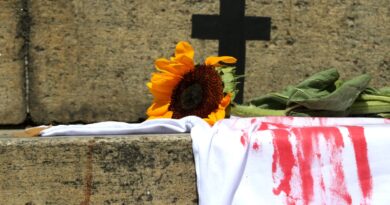 Estado de São Paulo tem aumento de feminicídios em janeiro deste ano