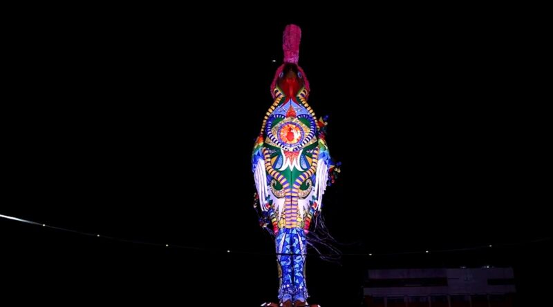 Galo Gigante homenageia Dom Helder Câmara, no Carnaval recifense