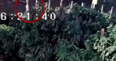 Homem é assassinado a tiros em lavoura de cacau e vídeo mostra crime e apelo da vítima em Governador Lindenberg