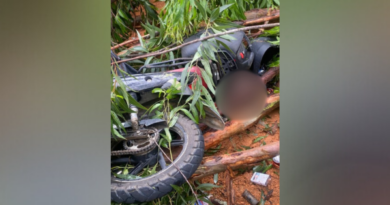 Motociclista morre ao bater em árvore caída por temporal na ES 080, em Colatina