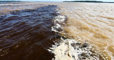 Naufrágio no Amazonas deixa dois mortos e sete pessoas desaparecidas