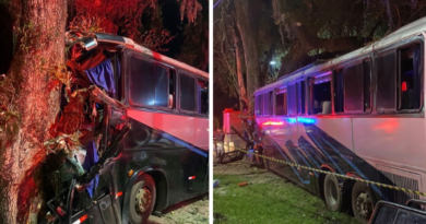 Ônibus com 35 passageiros bate em árvore, mata motorista e deixa feridos na BR 262 no ES; veja vídeo