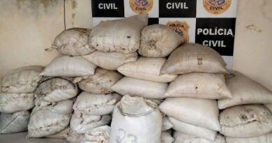 Polícia apreende quase duas toneladas de café, recolhe dois carros e prende foragido em Nova Venécia