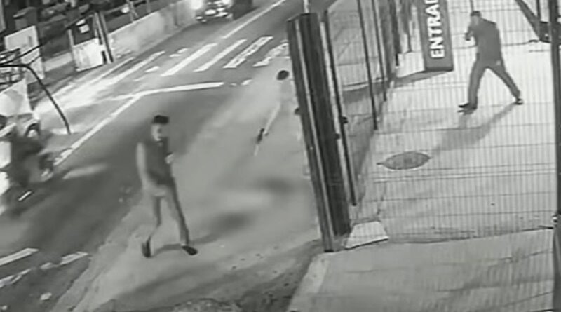 Soldado da PM depõe por ter matado cachorro comunitário em São Paulo