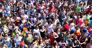 Veja dicas para curtir o carnaval com segurança e alegria