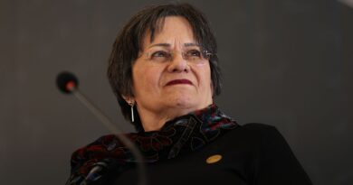 Ataques a Maria da Penha tentam enfraquecer conquistas, diz Instituto