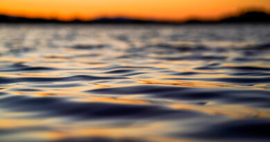 Bebê morre afogado em represa no quintal de casa em Nova Venécia