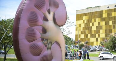 Dia Mundial do Rim: doenças renais são silenciosas e exigem atenção