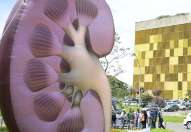 Dia Mundial do Rim: doenças renais são silenciosas e exigem atenção