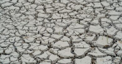 Estiagem: quinze cidades têm situação de emergência decretada