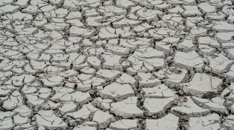 Estiagem: quinze cidades têm situação de emergência decretada