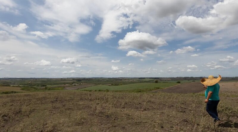 Fevereiro teve registro de seca mais branda em quatro regiões do país