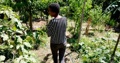 Horta comunitária reúne memória, cuidado e cidadania em favela do Rio