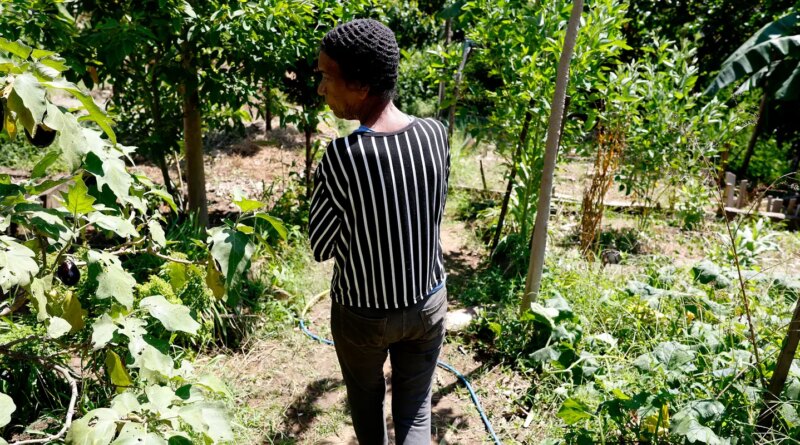 Horta comunitária reúne memória, cuidado e cidadania em favela do Rio