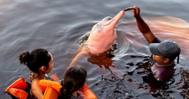 Insegurança é barreira para 62% das mulheres viajarem sozinhas