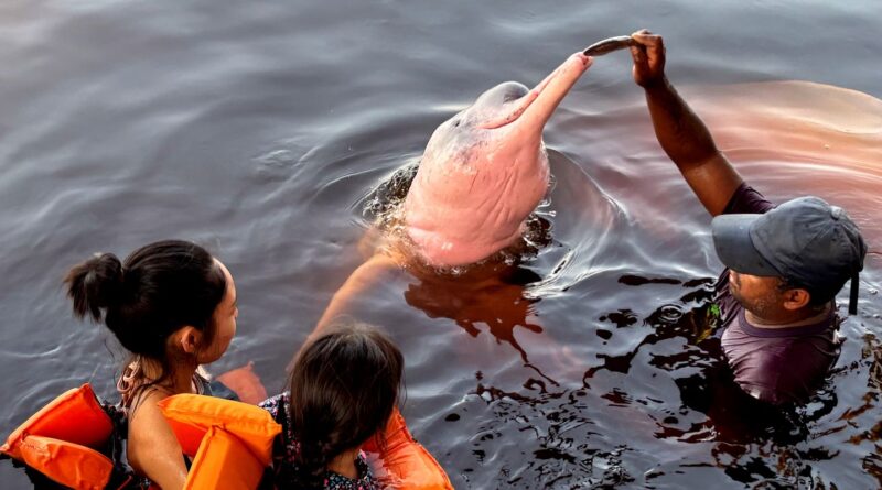 Insegurança é barreira para 62% das mulheres viajarem sozinhas