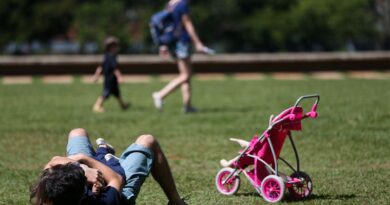Licença-paternidade de até 20 dias é aprovada no Senado 