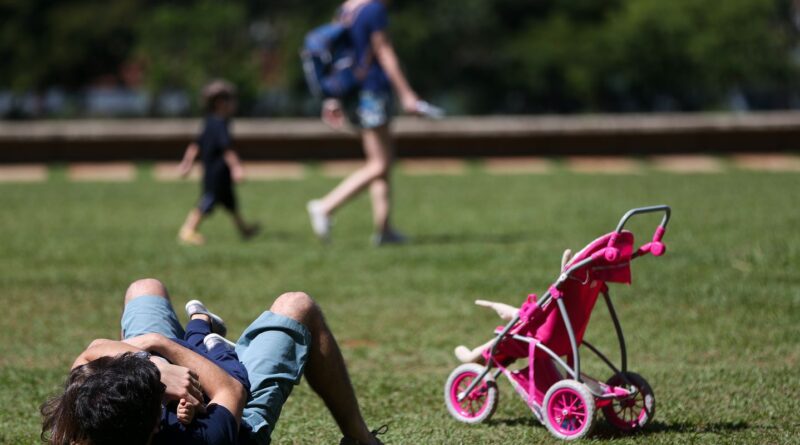 Licença-paternidade de até 20 dias é aprovada no Senado 