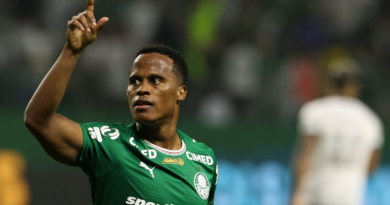 Palmeiras derrota Botafogo e assume liderança do Campeonato Brasileiro