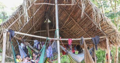 Povo Parakanã, do Pará, reocupa território após retirada de invasores 