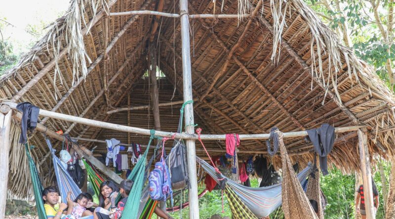 Povo Parakanã, do Pará, reocupa território após retirada de invasores 