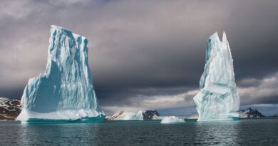 Programa Antártico Brasileiro alerta para degelo acelerado nos polos