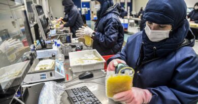 Dia Mundial da Hemofilia: campanha reforça importância do diagnóstico