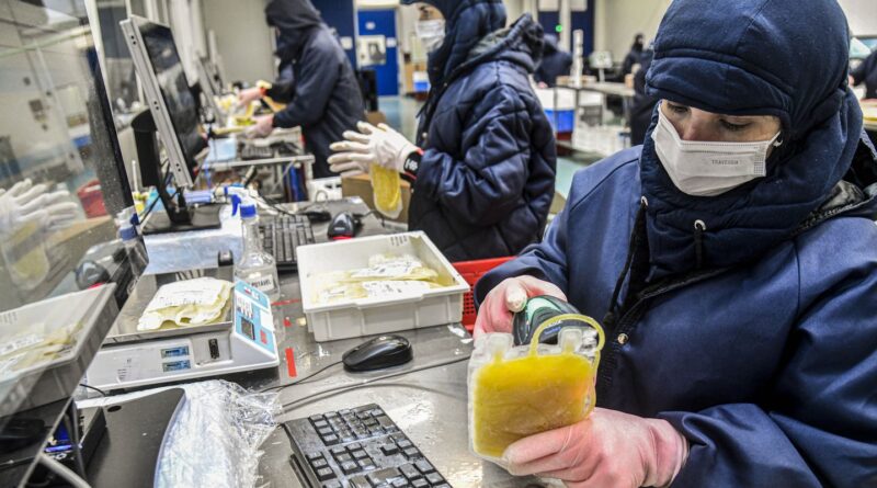 Dia Mundial da Hemofilia: campanha reforça importância do diagnóstico