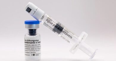 Butantan vai produzir vacina nacional contra chikungunya