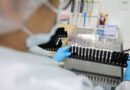 Fiocruz obtém patente para tratamento contra malária resistente