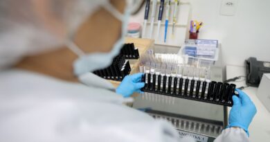 Fiocruz obtém patente para tratamento contra malária resistente