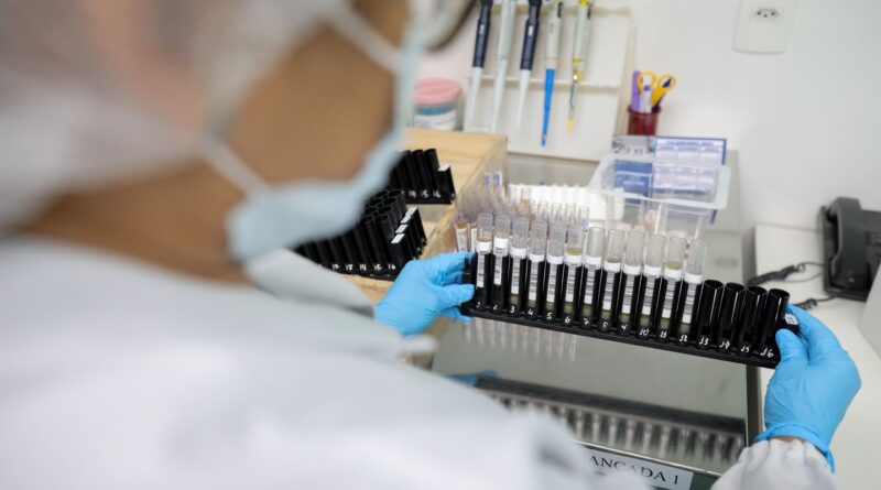 Fiocruz obtém patente para tratamento contra malária resistente