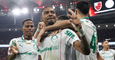 Palmeiras derrota Fla e amplia vantagem na liderança do Brasileiro