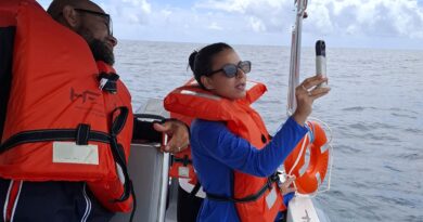 Projeto mapeia fauna marinha da Bahia por meio do DNA ambiental