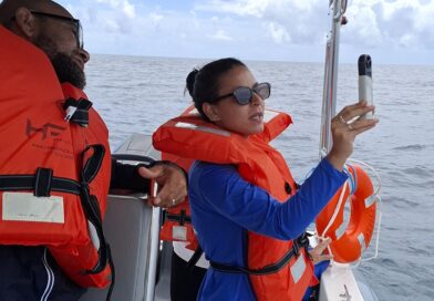 Projeto mapeia fauna marinha da Bahia por meio do DNA ambiental