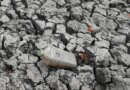 Austrália afirma que El Niño deve ser o mais forte das últimas décadas