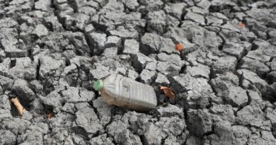 Austrália afirma que El Niño deve ser o mais forte das últimas décadas