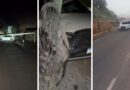 Carro arranca dois postes e complica trânsito na avenida principal em São Domingos do Norte; veja vídeo