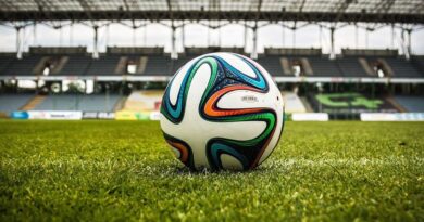 Confira os jogos da Copa do Mundo deste domingo