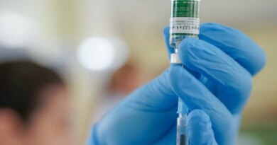 Dengue: Anvisa cria grupo para avaliar segurança da vacina do Butantan