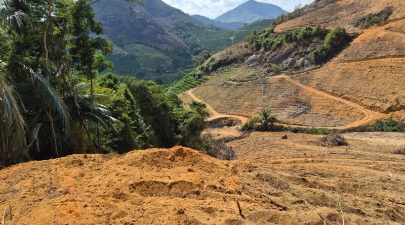 Polícia flagra desmatamento de Mata Atlântica equivalente a cinco campos de futebol em Água Doce do Norte