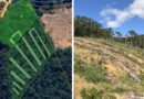 Polícia flagra queima de árvores e desmatamento de mais de 16 mil metros quadrados em cidade do ES