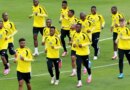 Semelhanças entre Brasil e África do Sul vão além do verde e amarelo