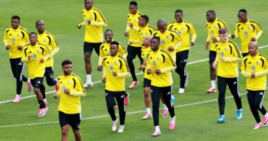 Semelhanças entre Brasil e África do Sul vão além do verde e amarelo