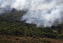 Copernicus: emissão global de gases por incêndios é a menor em 24 anos