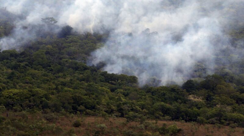 Copernicus: emissão global de gases por incêndios é a menor em 24 anos