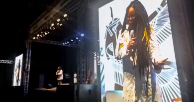 “Racismo foi reduzido a chamar alguém de macaco”, critica escritora