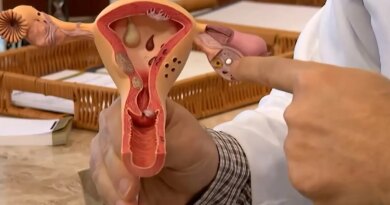 Aberta chamada pública para pesquisas sobre endometriose